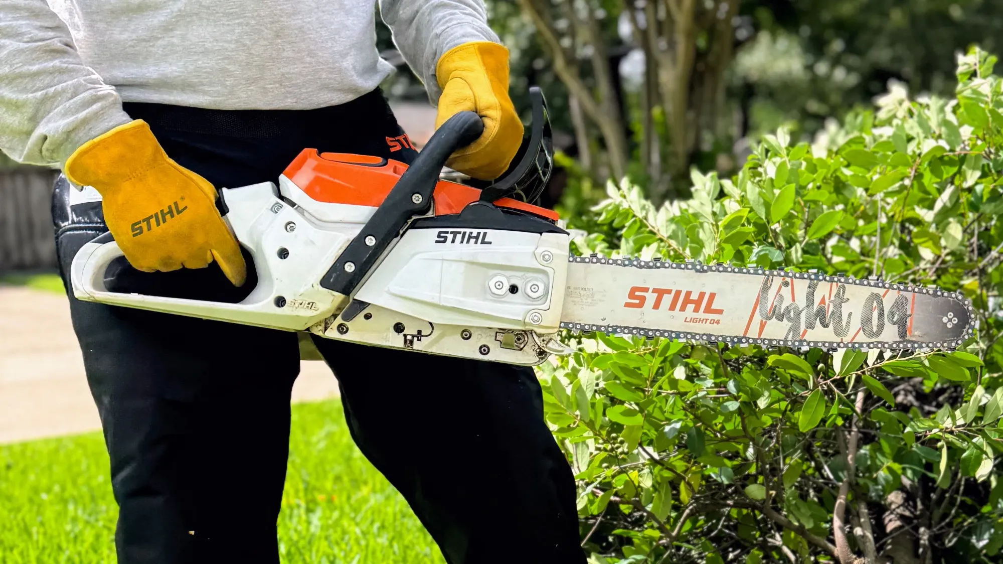 Different STIHL chainsaws lined up for small, medium, and large property use