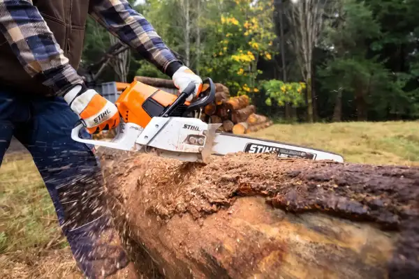 STIHL MS 661 C-M chainsaw resting on a large pine log in a your region forest